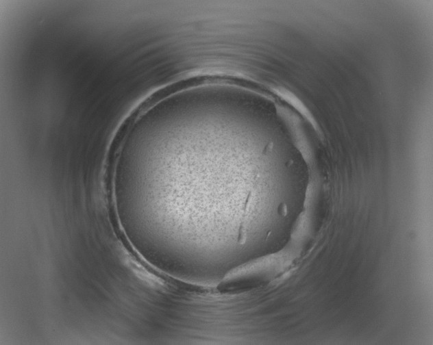 X0000082931068200702081535