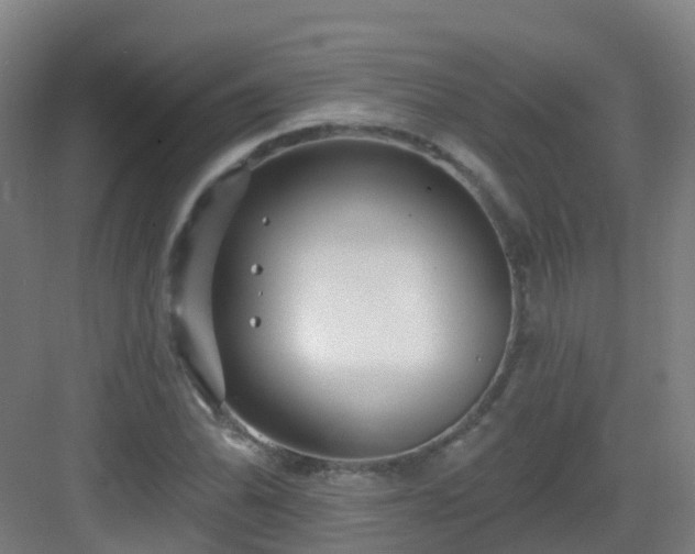 X0000082931070200702081535