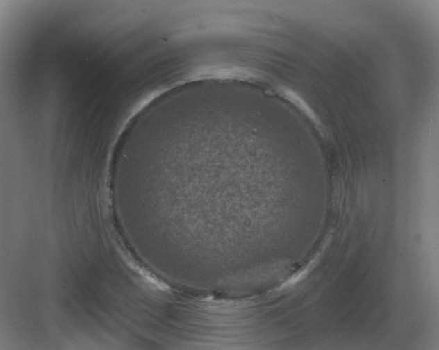 X0000082931071200702081535