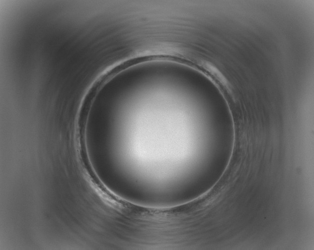 X0000082931072200702081535