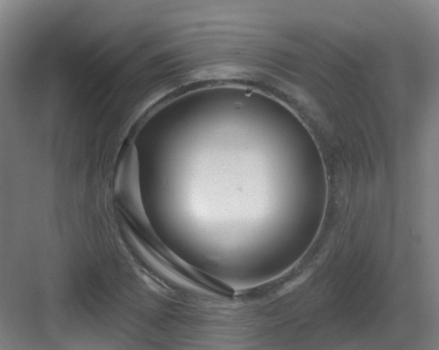 X0000082931073200702081535