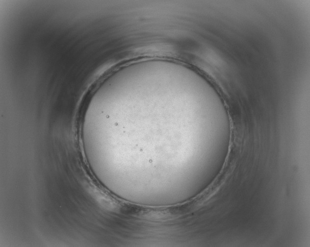 X0000082931074200702081534