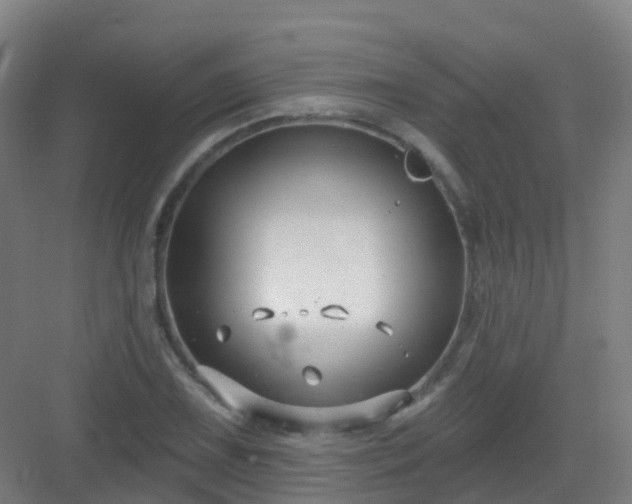 X0000082931075200702081534