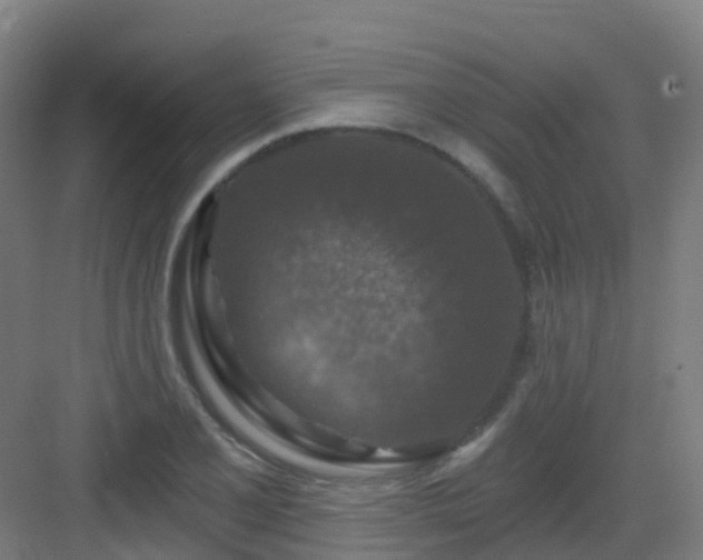 X0000082931077200702081534