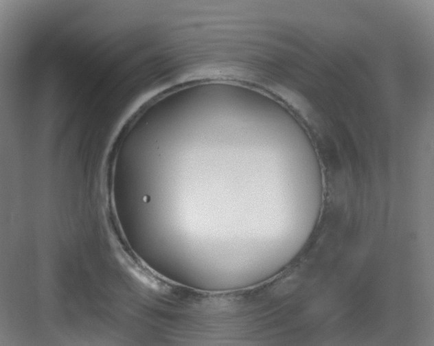 X0000082931078200702081534