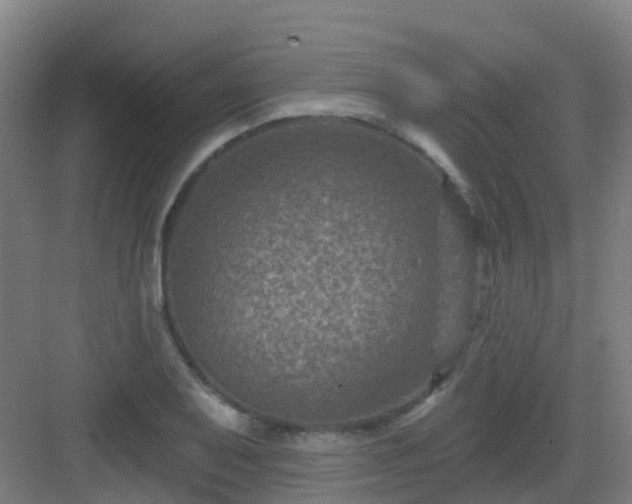 X0000082931079200702081534