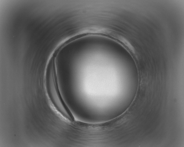 X0000082931080200702081534