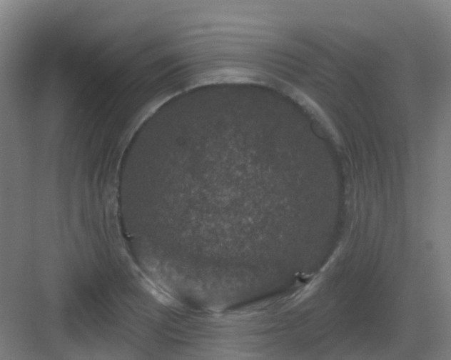 X0000082931081200702081534