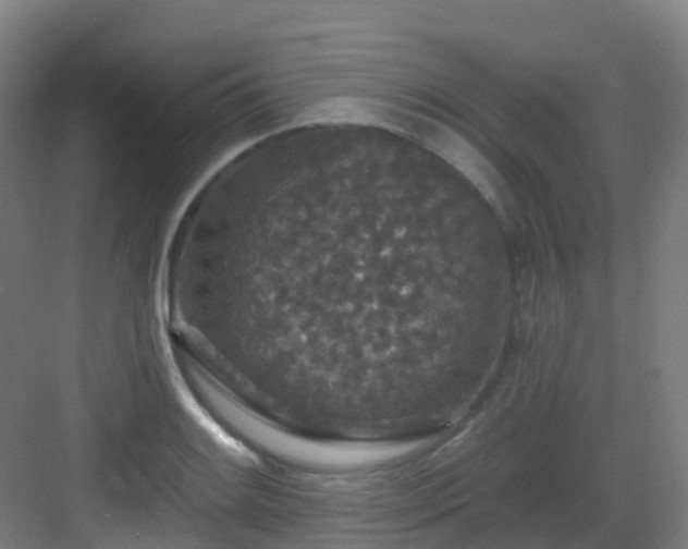 X0000082931084200702081534