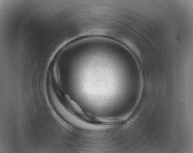 X0000082931085200702081534