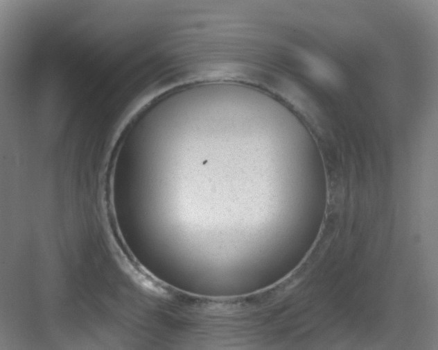 X0000082931086200702081534