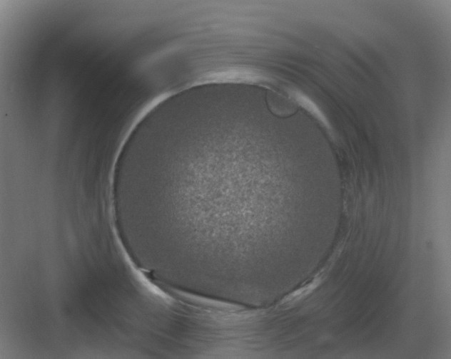 X0000082931087200702081534