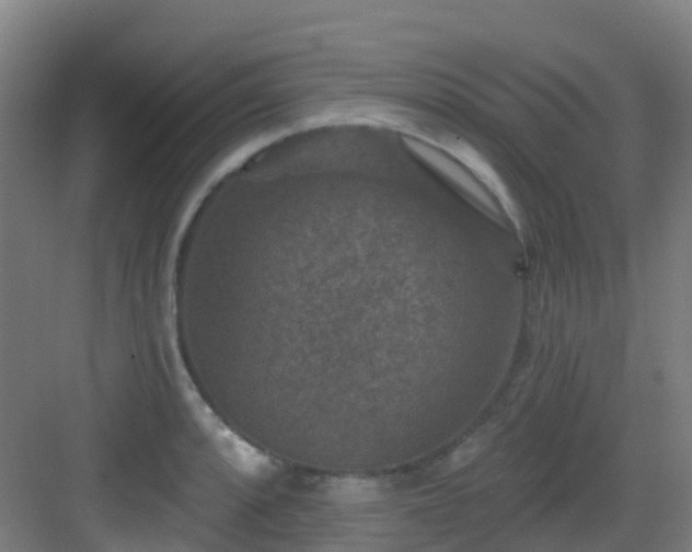 X0000082931088200702081534