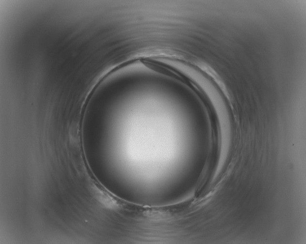 X0000082931089200702081534