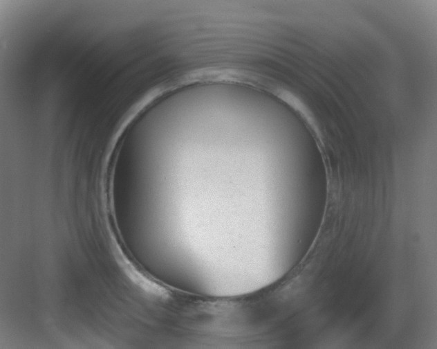 X0000082931090200702081534