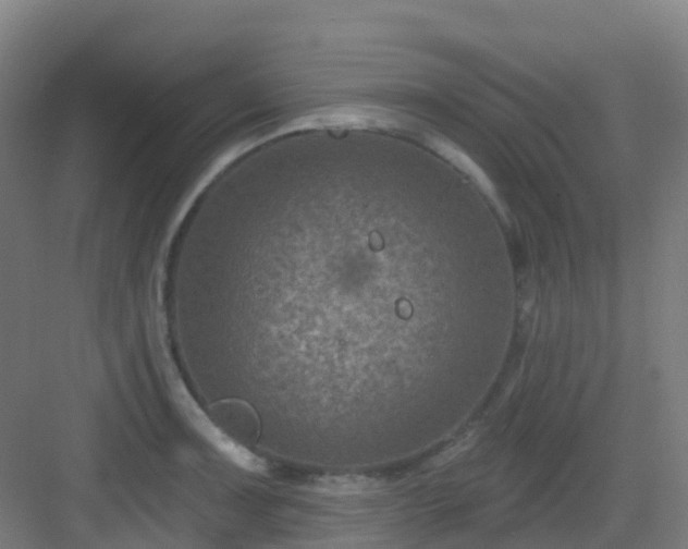 X0000082931091200702081534