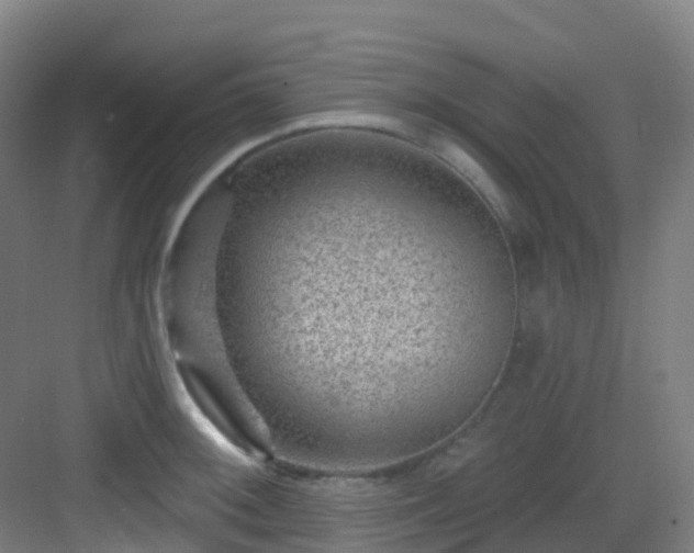 X0000082931092200702081534