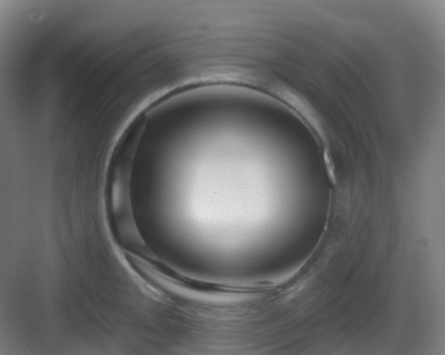 X0000082931093200702081534