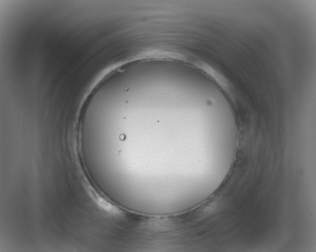 X0000082931094200702081534