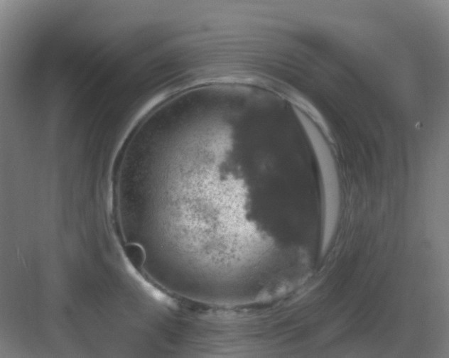 X0000082931095200702081534