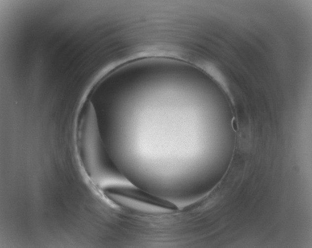 X0000082931096200702081534