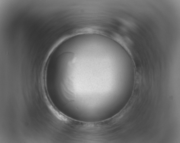 X0000082931098200702081534