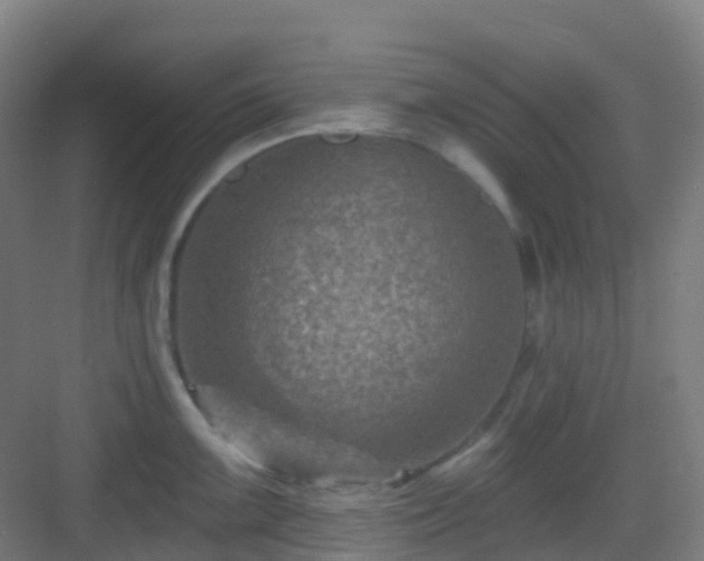 X0000082931099200702081534