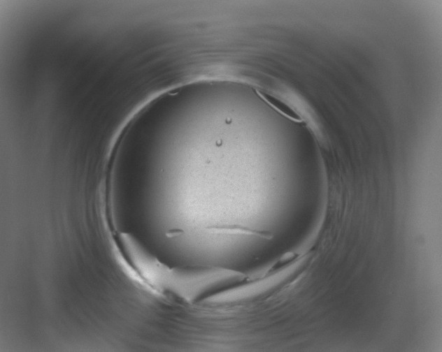 X0000082931100200702081534