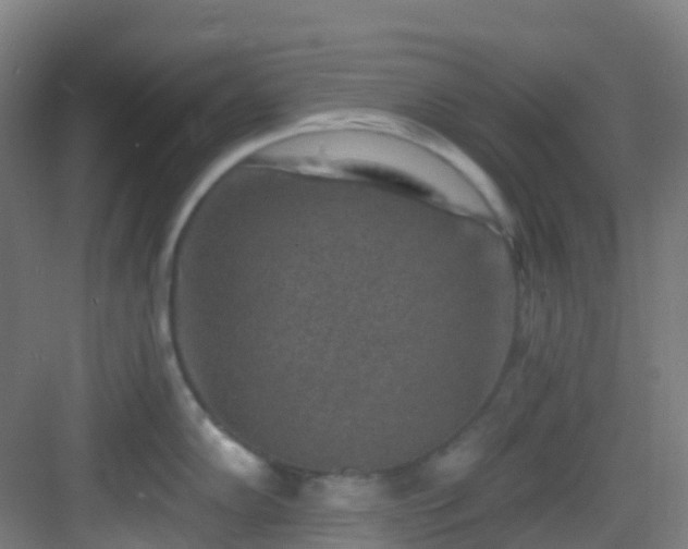 X0000082931102200702081534