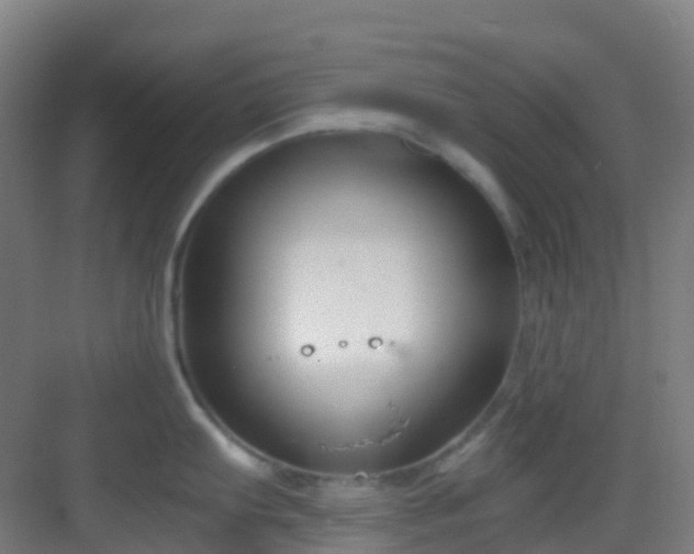 X0000082931103200702081534