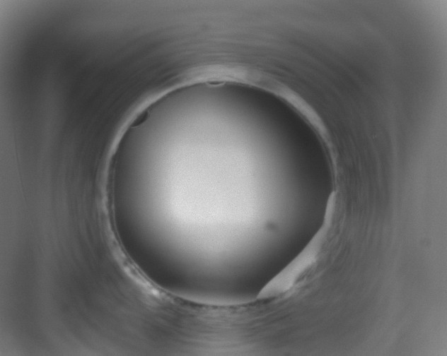 X0000082931104200702081534