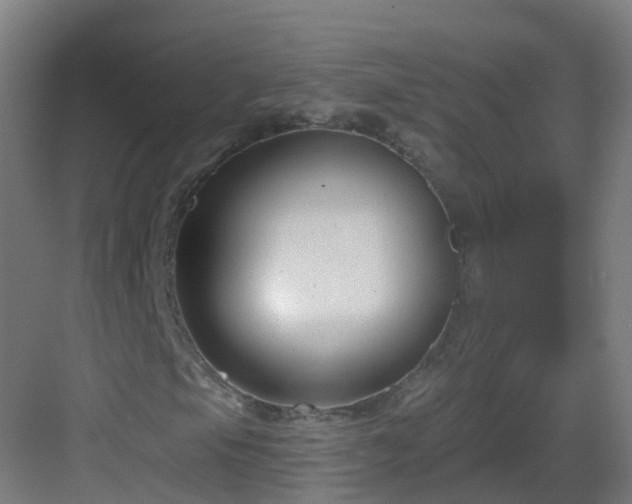 X0000082931105200702081533