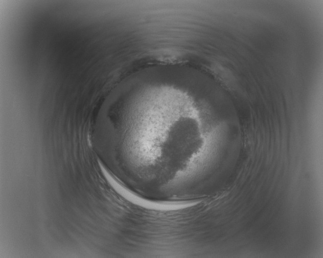 X0000082931106200702081533