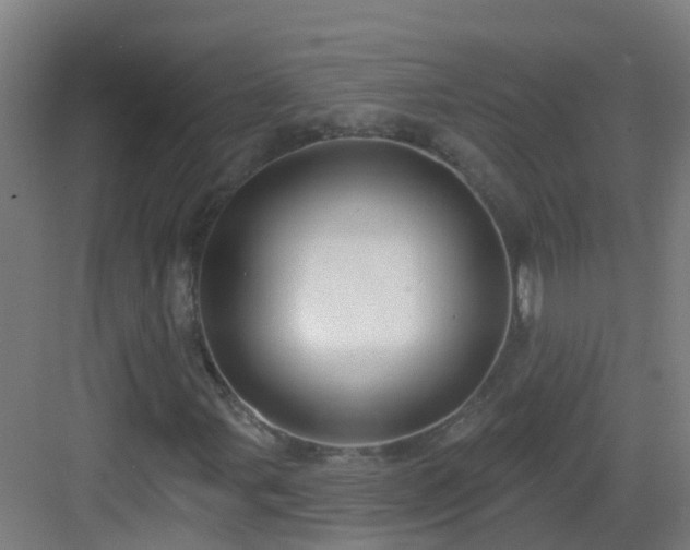 X0000082931107200702081533