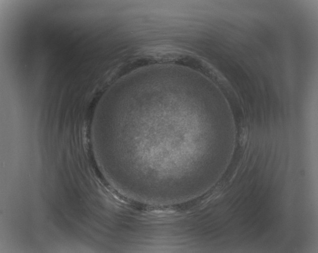 X0000082931108200702081533