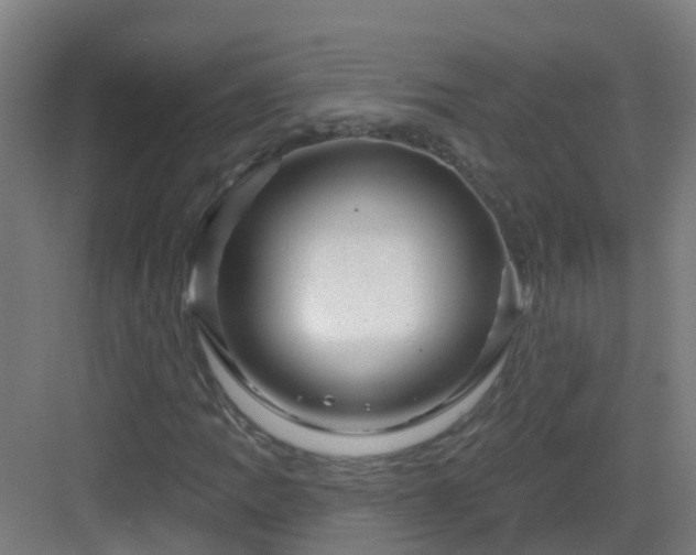 X0000082931109200702081533