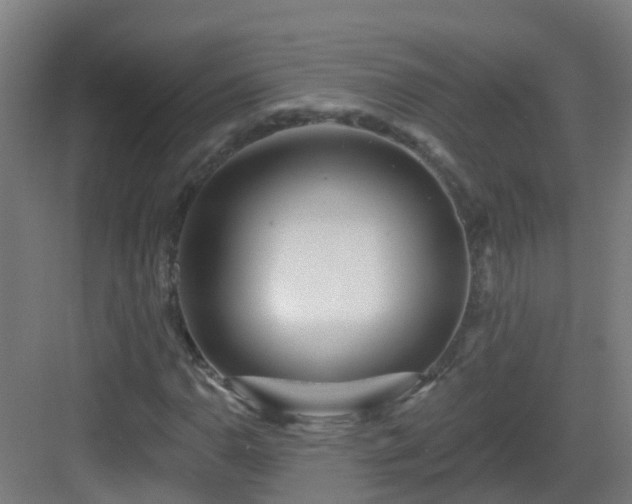 X0000082931110200702081533