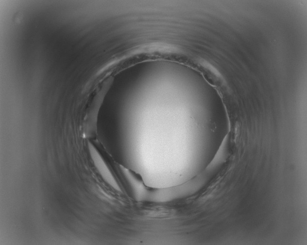 X0000082931112200702081533