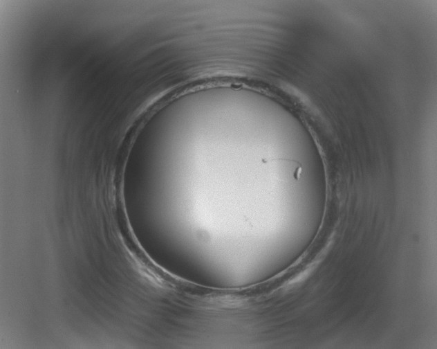 X0000082931113200702081533