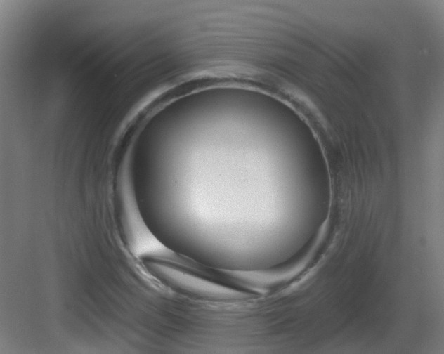 X0000082931114200702081533