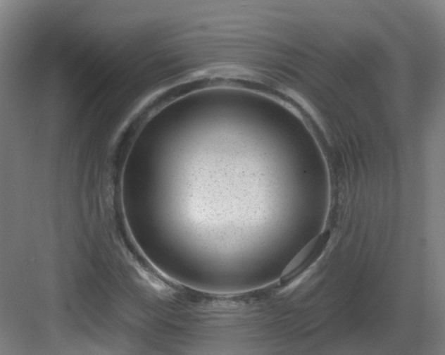 X0000082931115200702081533