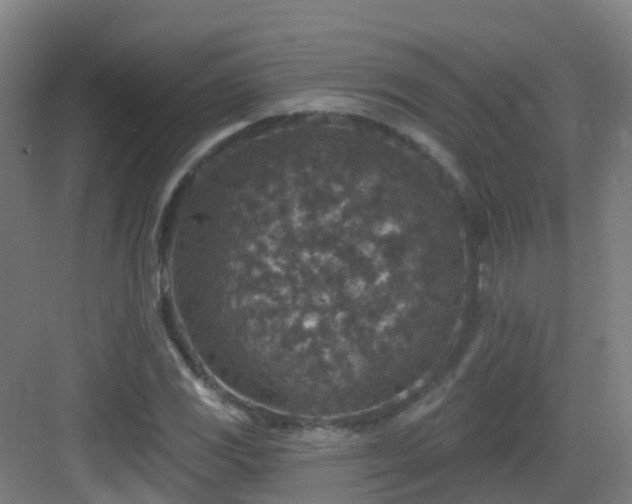 X0000082931117200702081533