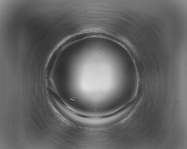 X0000082931118200702081533