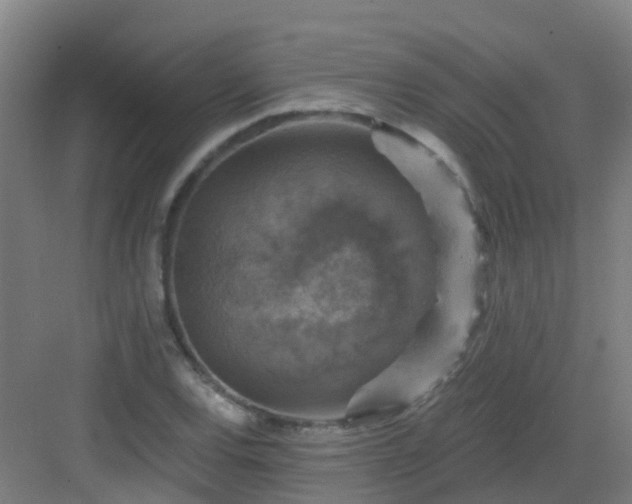 X0000082931120200702081533