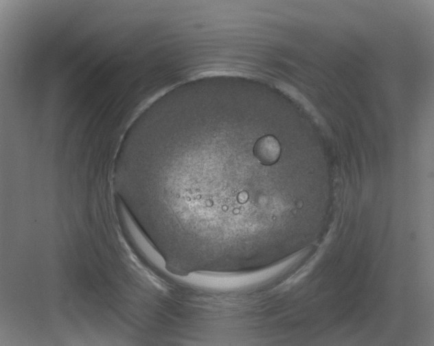 X0000082931121200702081533