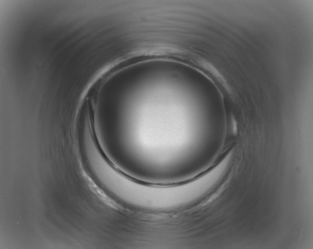 X0000082931122200702081533