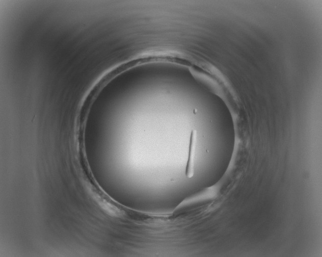 X0000082931124200702081534