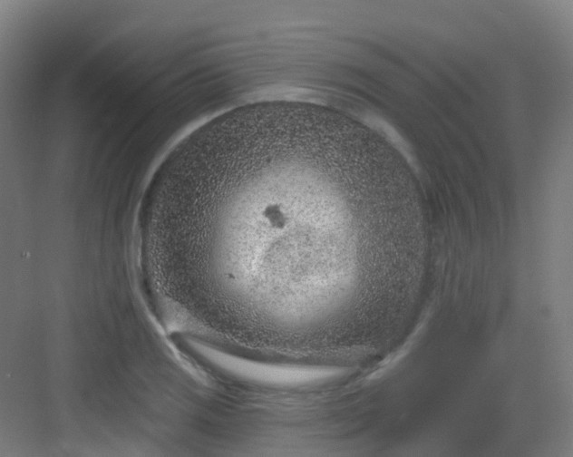 X0000082931125200702081534