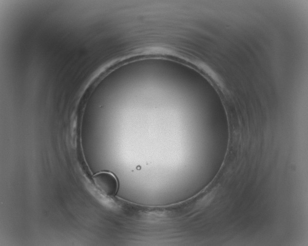 X0000082931126200702081534