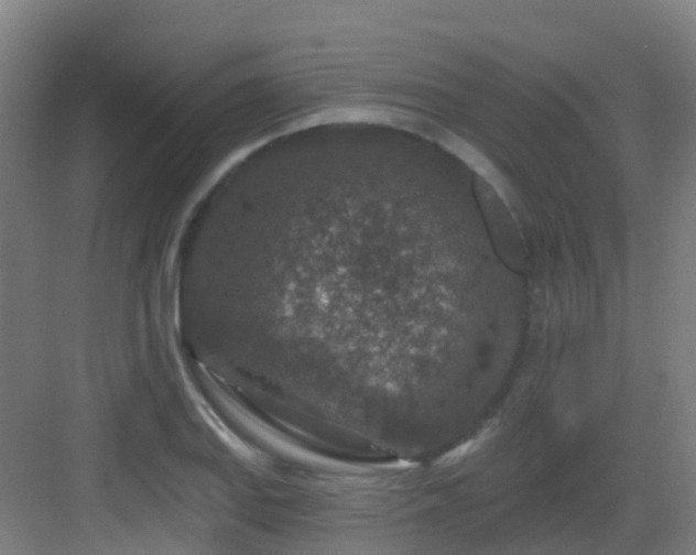 X0000082931127200702081534